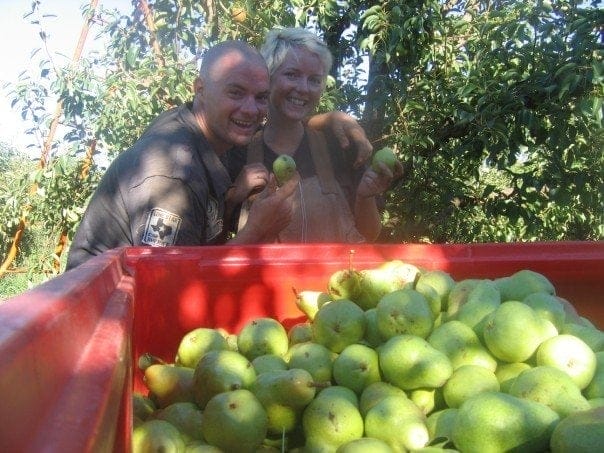Fruit Picking - Victoria, Australia