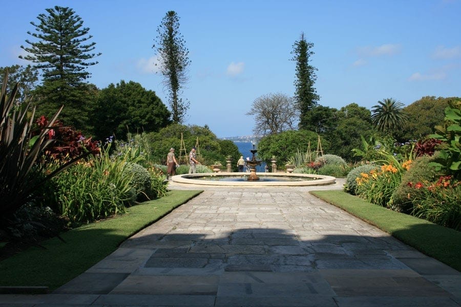botanic gardens sydney - Londoner In Sydney botanic gardens sydney