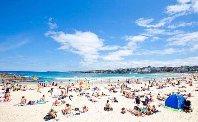 sunshinedranks-636x393