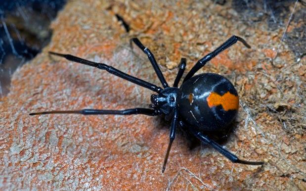 things i didn't know before moving to sydney7