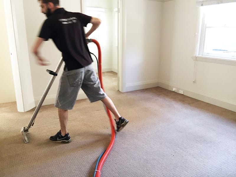citra-clean-carpet-cleaner-sydney-2