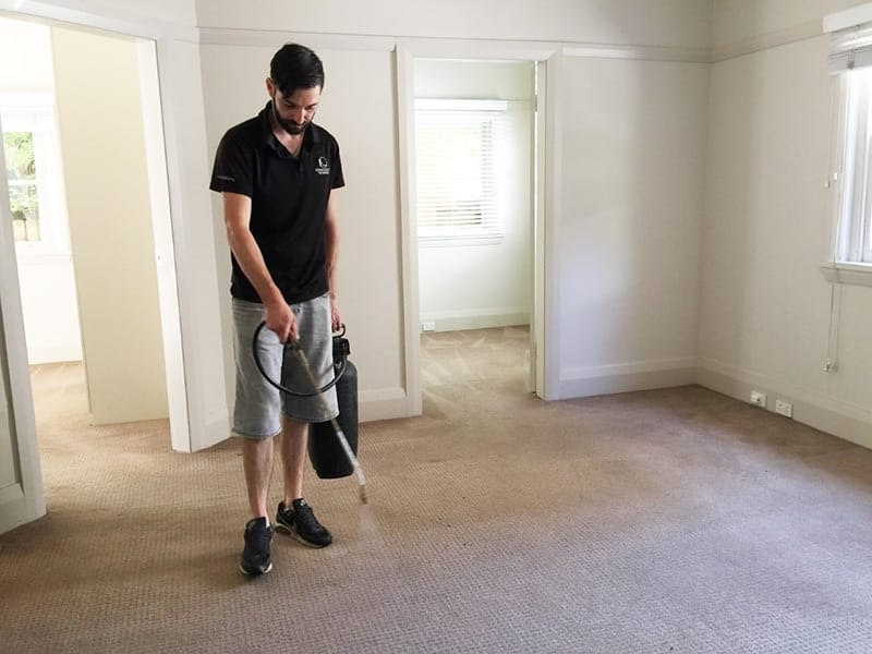 citra-clean-carpet-cleaner-sydney-1