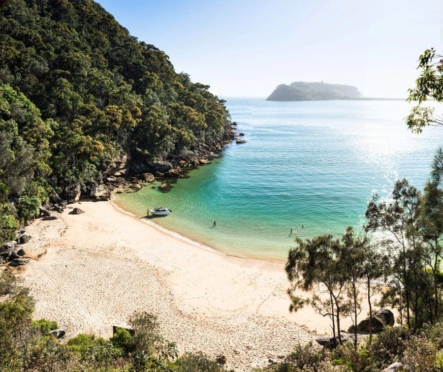 resolute-beach-sydney - Londoner In Sydney resolute-beach-sydney