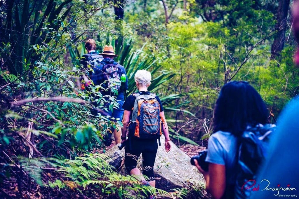 palona-cave-walk-royal-national-park-sydney