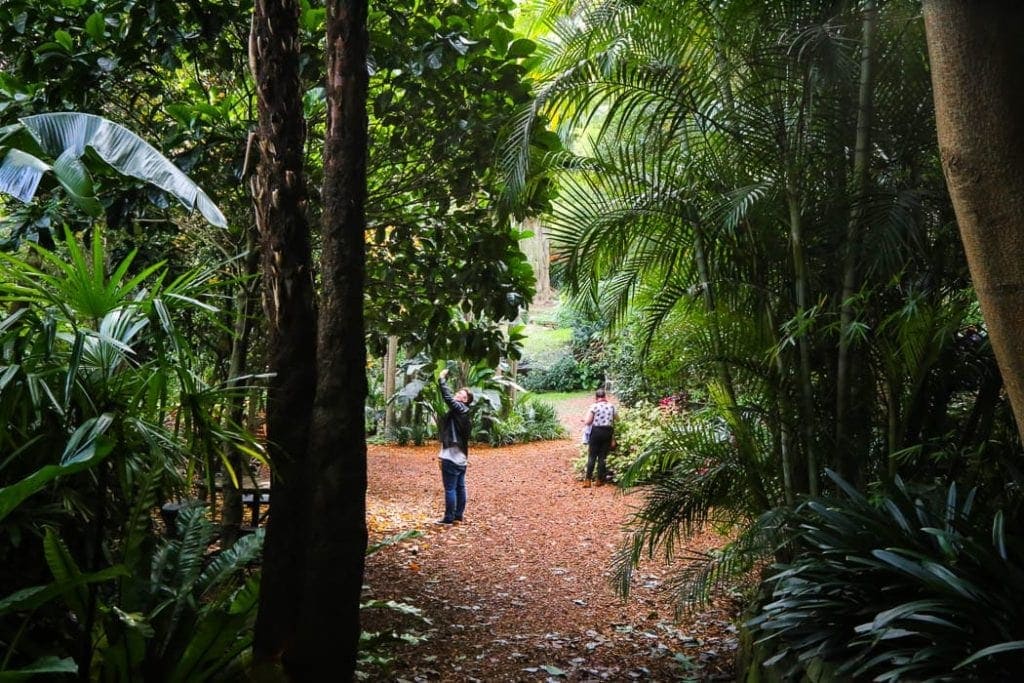 wendys-secret-garden-kirribilli - Londoner In Sydney wendys-secret-garden-kirribilli