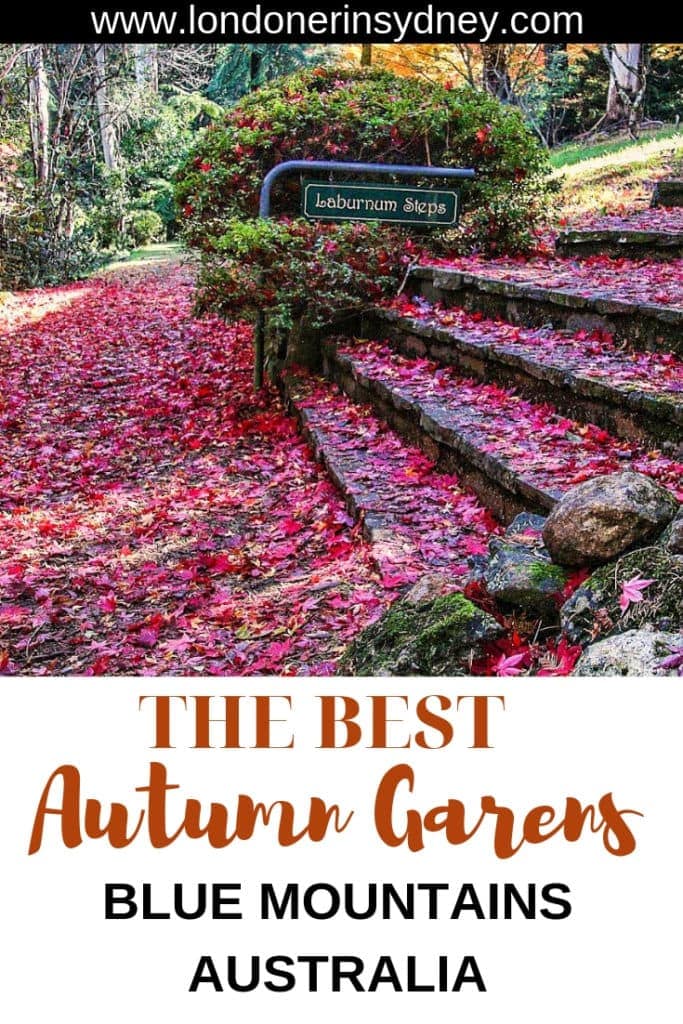 best-gardens-in-blue-mountains - Londoner In Sydney best-gardens-in-blue-mountains