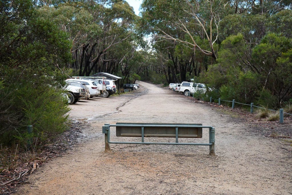 kanangra-boyd-national-park-5 (1 of 1)
