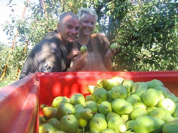 fruit-picking-australia (1 of 1) - Londoner In Sydney fruit-picking-australia (1 of 1)