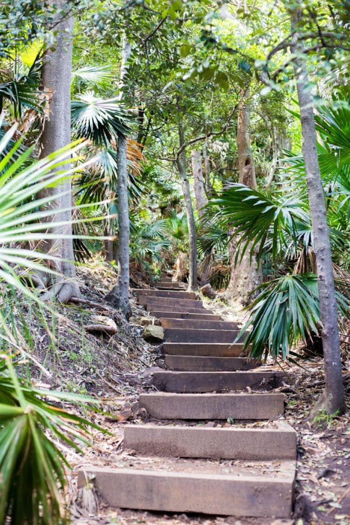 Figure-8-pool-25 - Londoner In Sydney