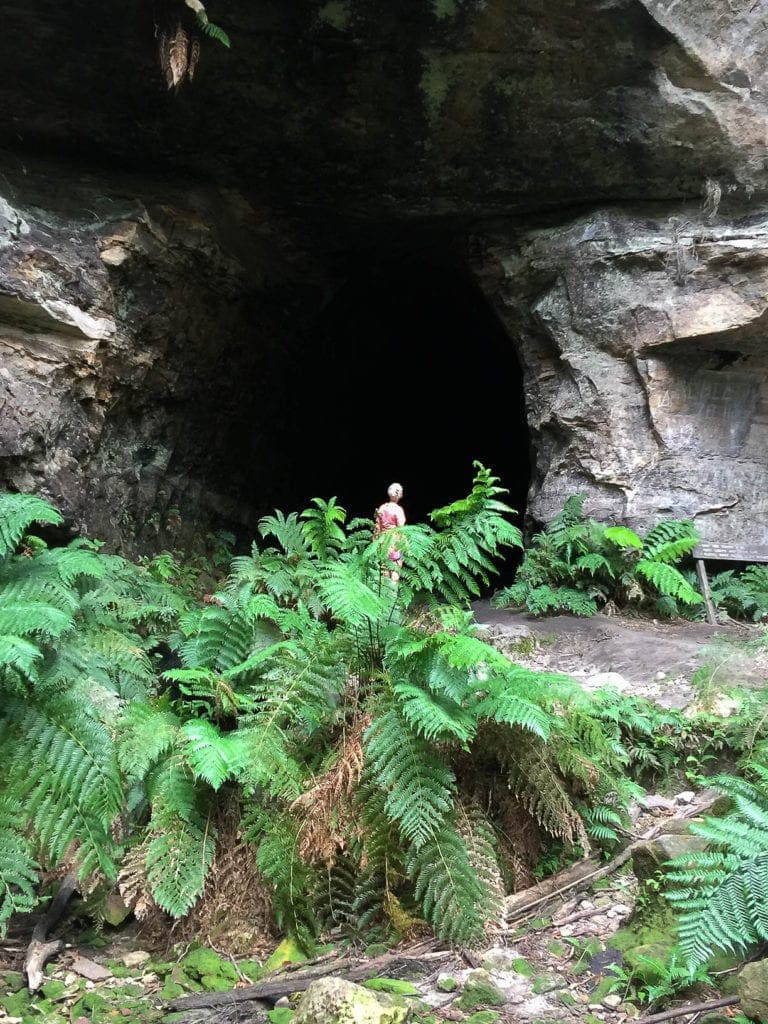glow-worm-tunnel-hike-newnes-sydney - Londoner In Sydney glow-worm-tunnel-hike-newnes-sydney