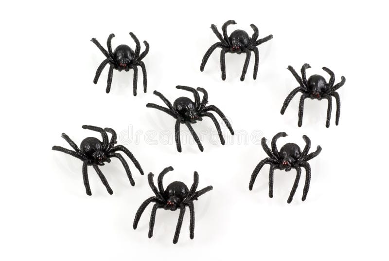 toy-spiders-13317862 - Londoner In Sydney