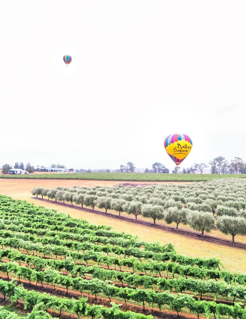 sunrise-balloon-flight-hunter-valley-5 - Londoner In Sydney hot-air-balloon-hunter-valley