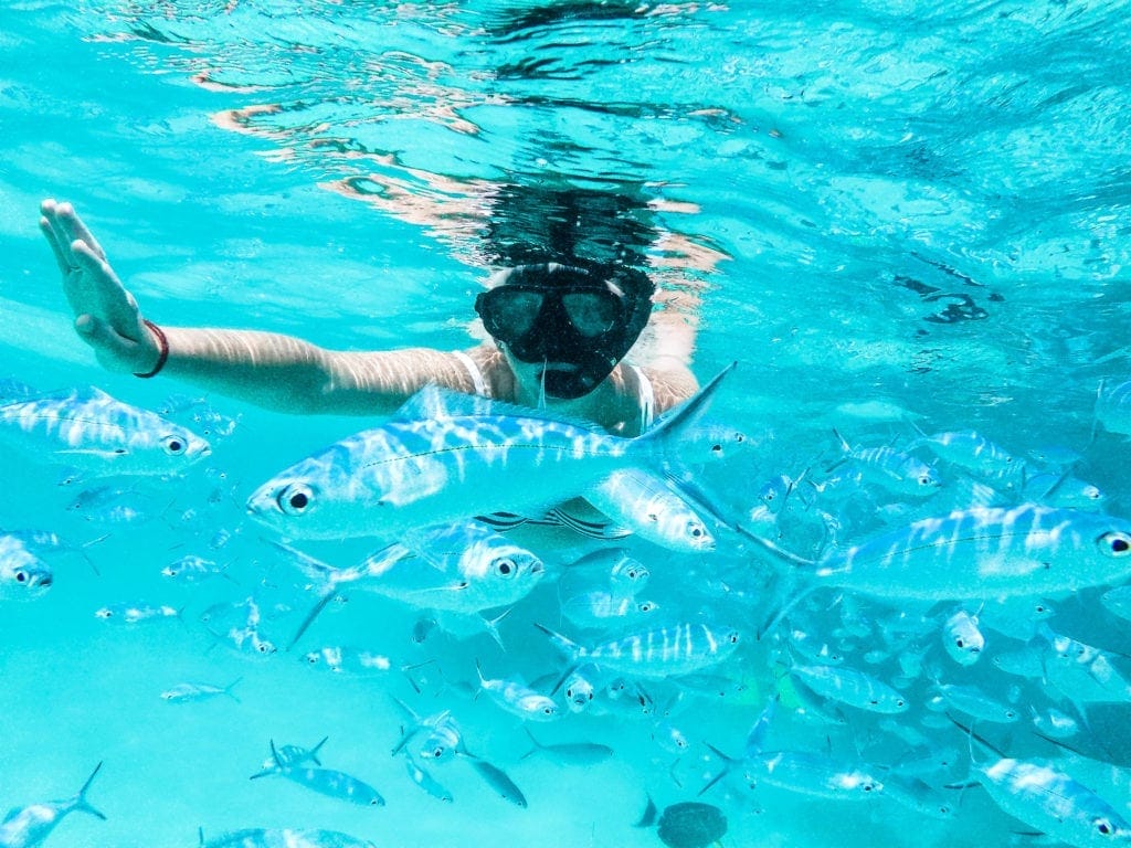 snorkelling-in-thoddoo-maldives.JPG - Londoner In Sydney