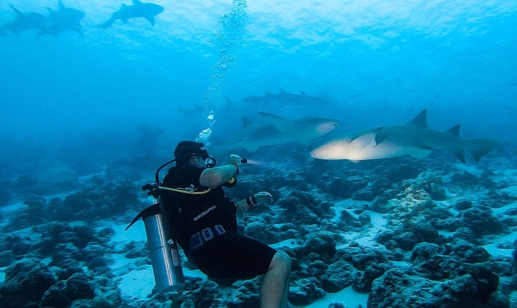 Fulidhoo-maldives-review-21 - Londoner In Sydney Fulidhoo-maldives-review-21