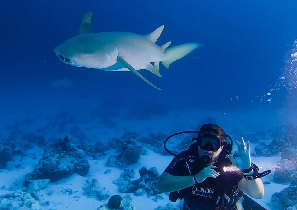 Fulidhoo-maldives-review-22 - Londoner In Sydney Fulidhoo-maldives-review-22