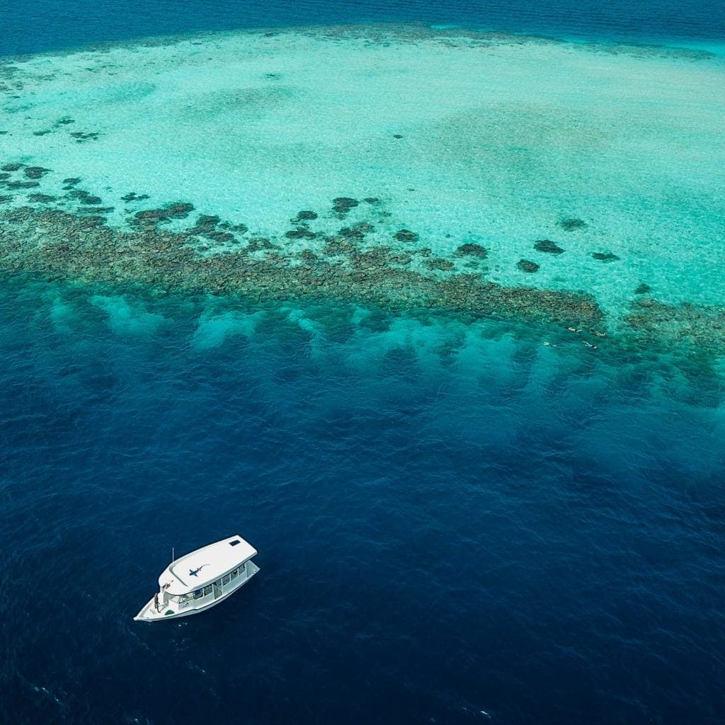 Fulidhoo-dive - Londoner In Sydney