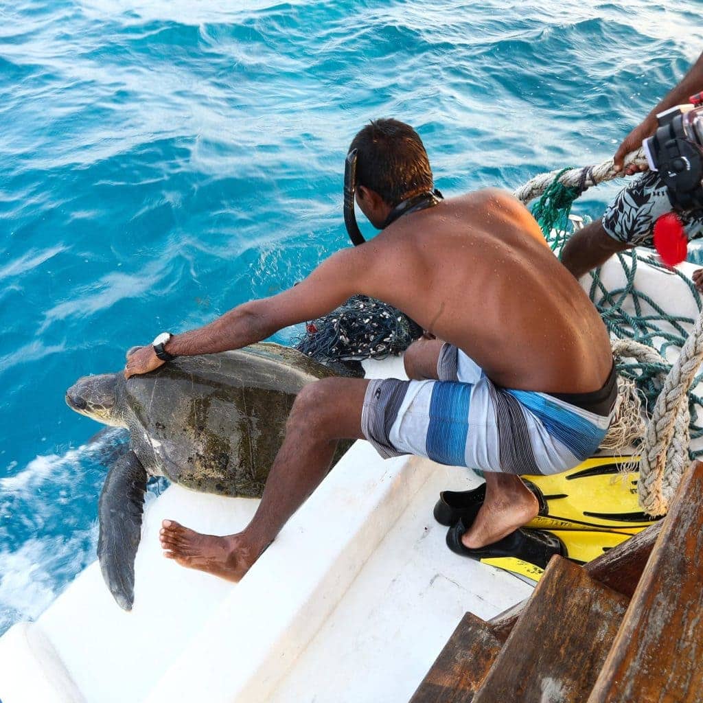 Fulidhoo-insta-29 - Londoner In Sydney Fulidhoo-insta-29