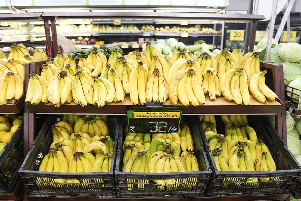 atmavikasa-yoga-course-mysore-india