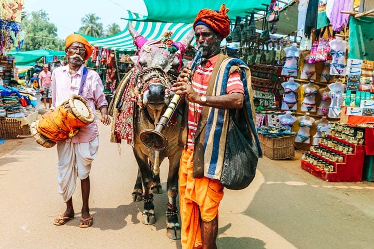 8-things-to-do-in-Goa