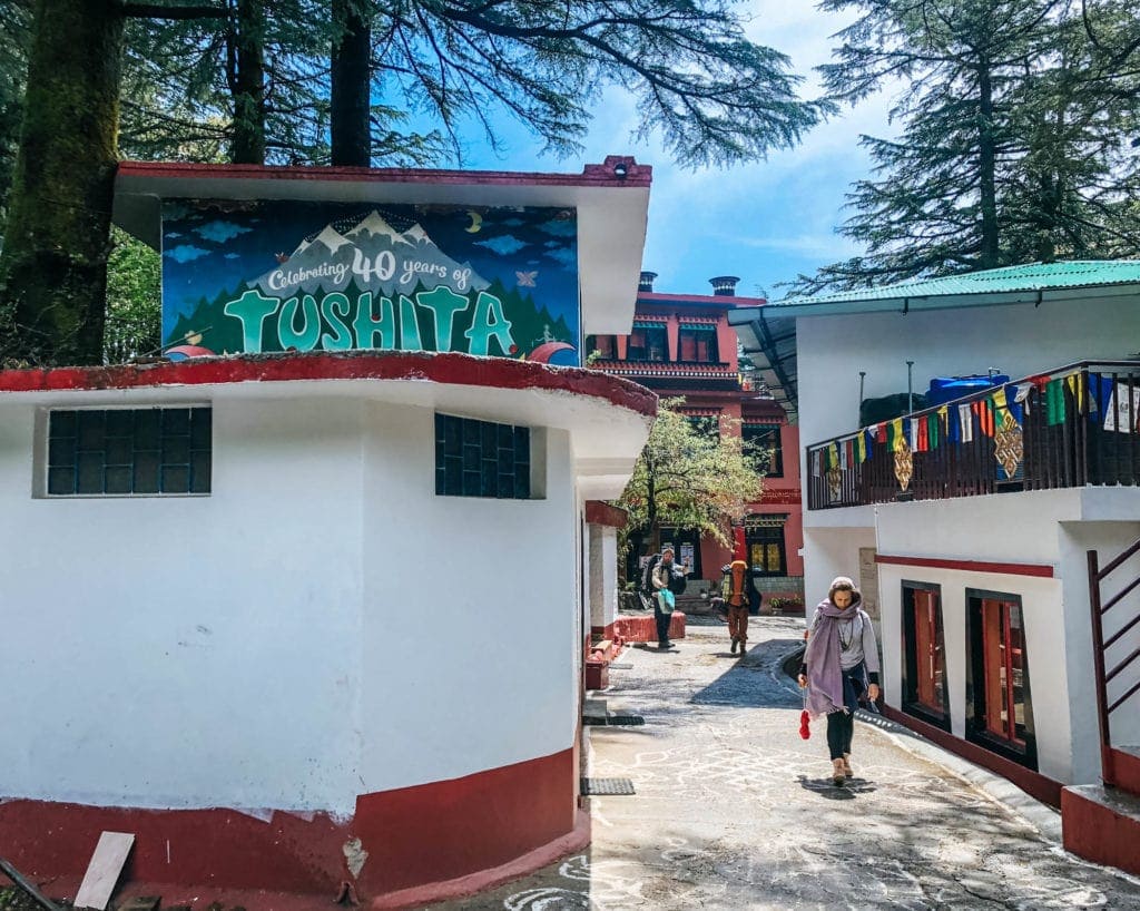 mcleod-ganj-tushita-review-2