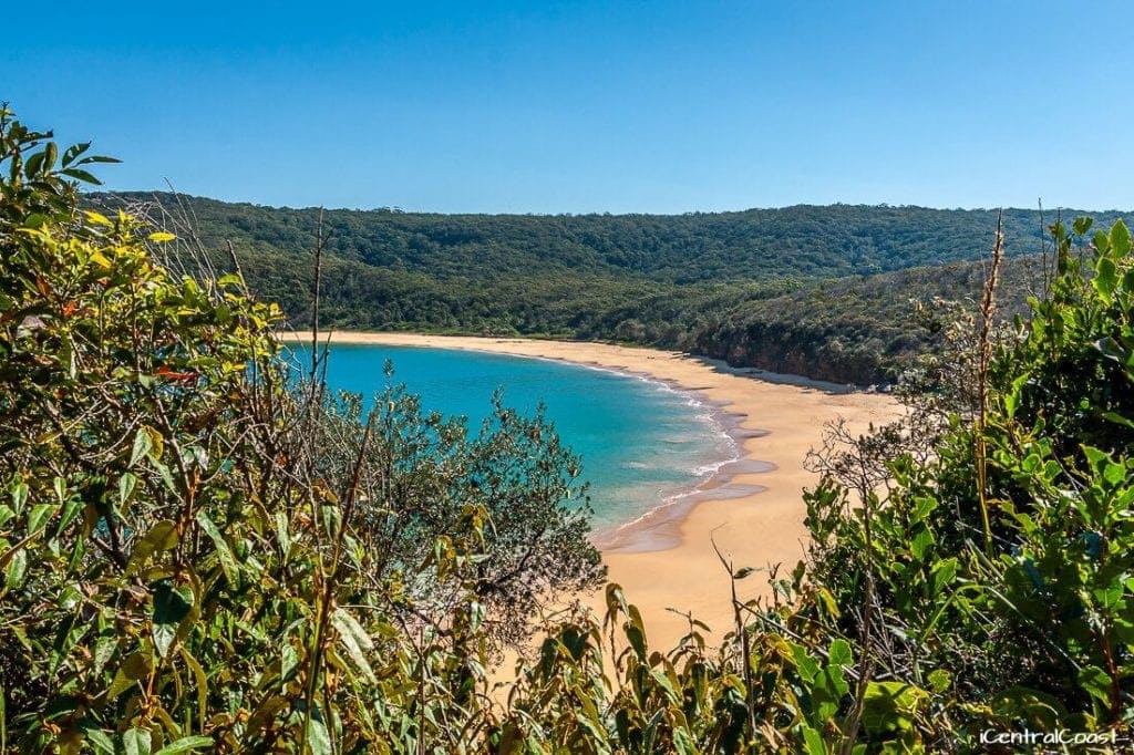 maitland-bay-sydney-beach