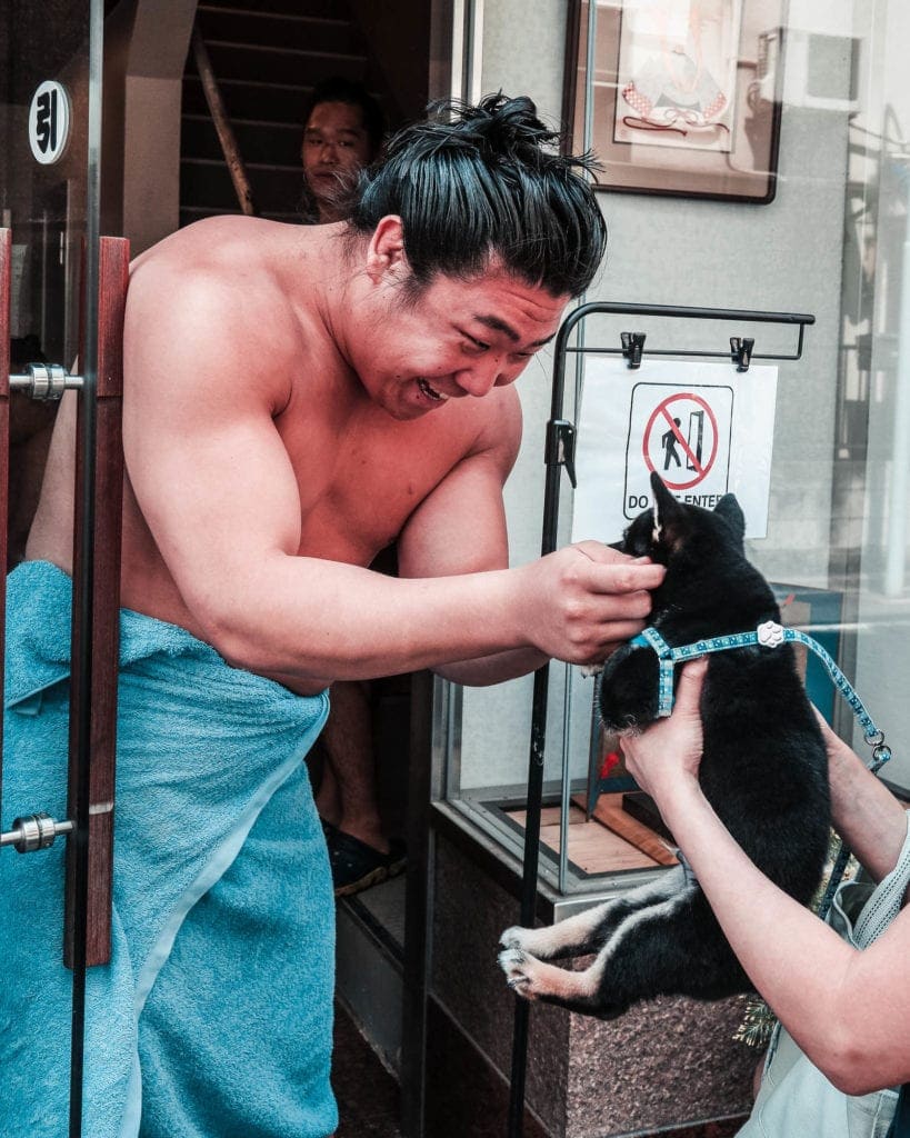 sumo-wrestlers-tokoy