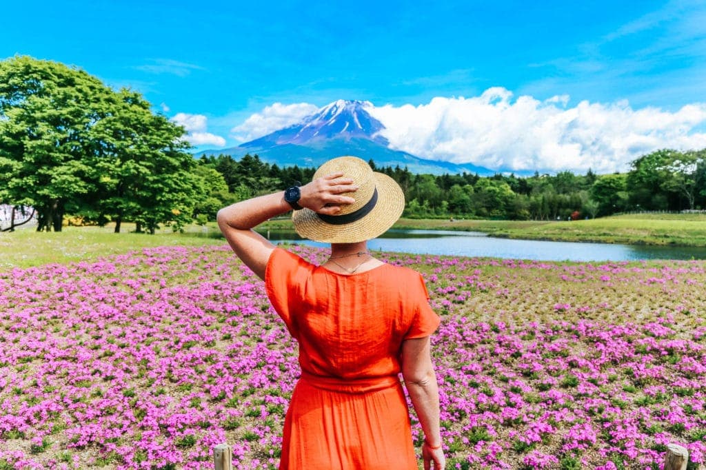 mount-fuji-flower-festival