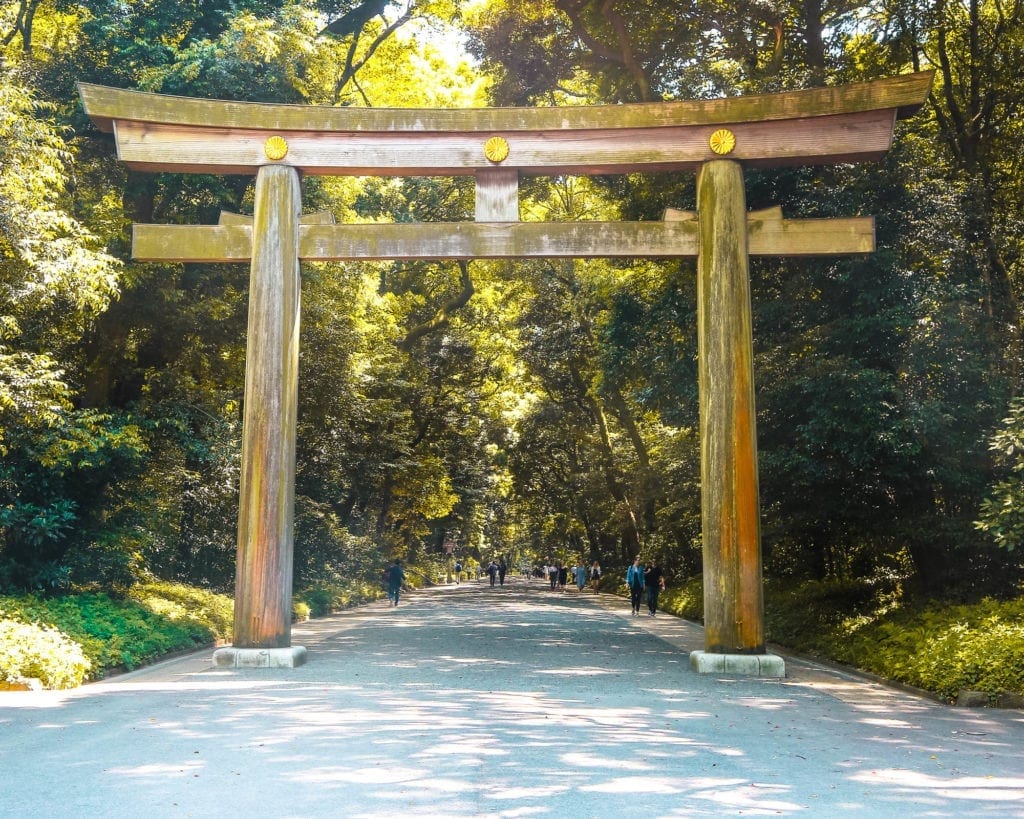 meji-shrine-tokyo