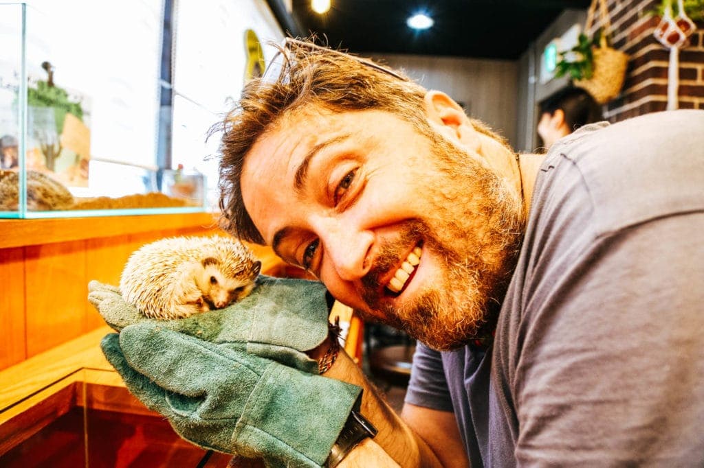 harry-the-hedgehog-cafe-japan