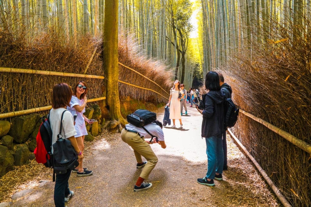 bamboo-forest-japan