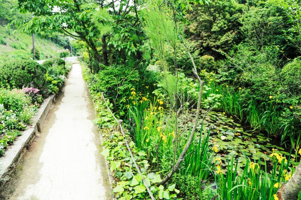 chichu-art-museum-japan