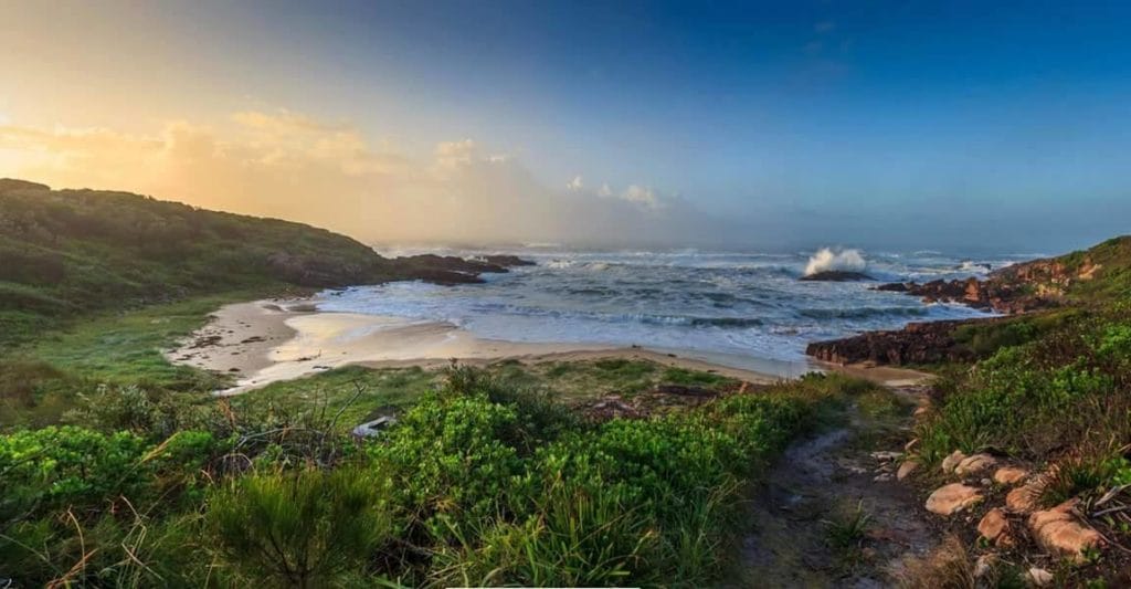 Kingsley-Beach-best-beaches-in-newcastle