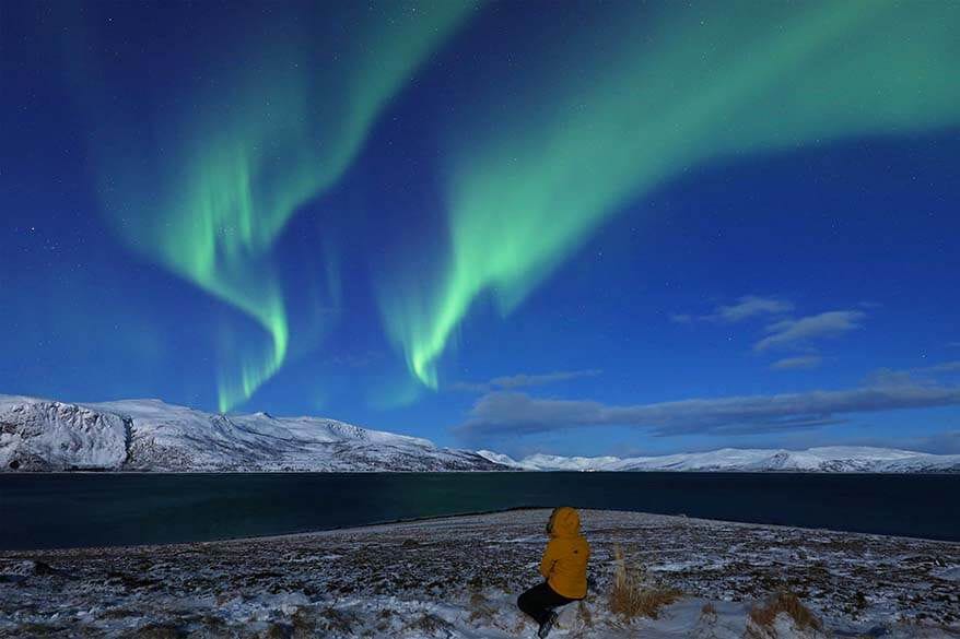 northern-lights-tromso - Londoner In Sydney northern-lights-tromso