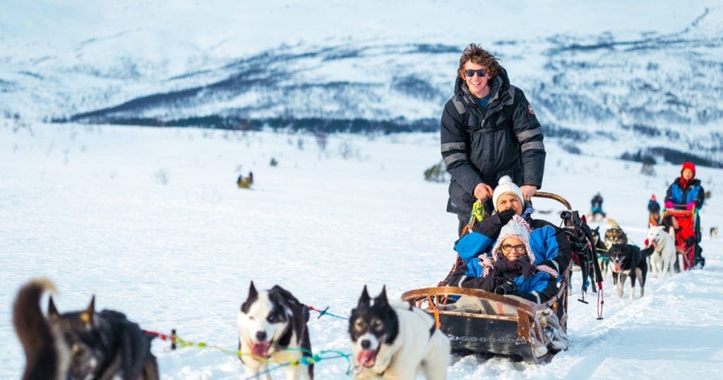 dog-sledding-tromso-norway - Londoner In Sydney dog-sledding-tromso-norway