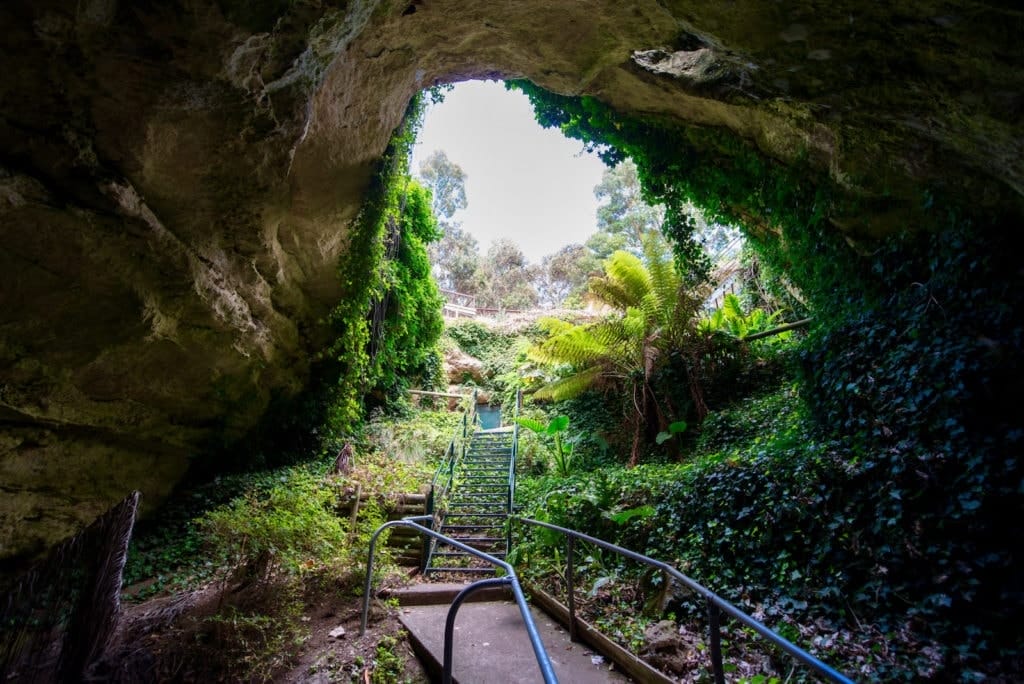 Engelbrecht-Cave-mount-gambier