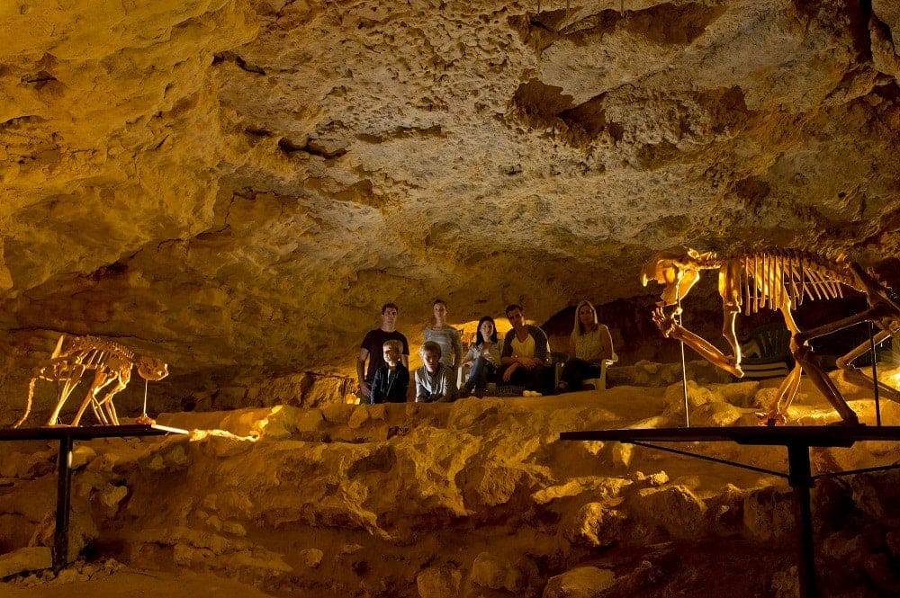 Naracoorte-caves-mount-gambier