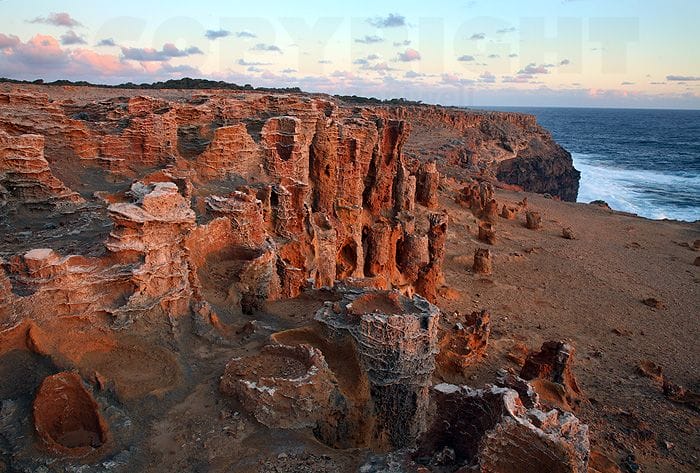 petrified-forest-mount-gambier - Londoner In Sydney petrified-forest-mount-gambier