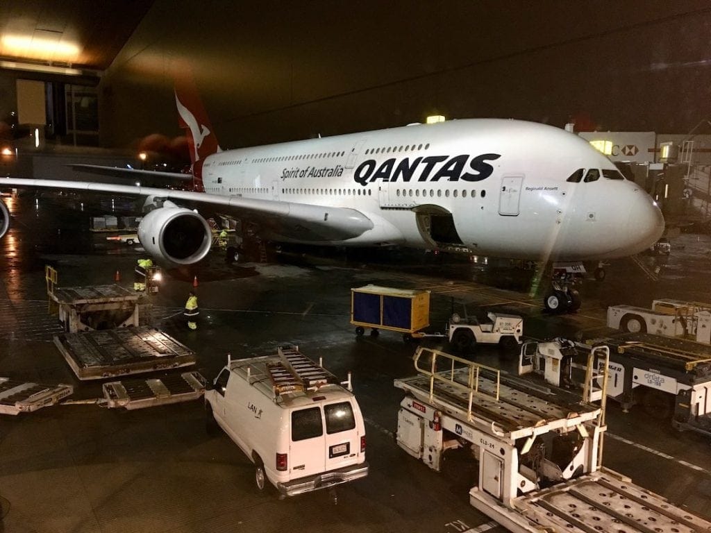 bringing-pets-in-australia