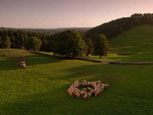 Babe-movie-location-sydney