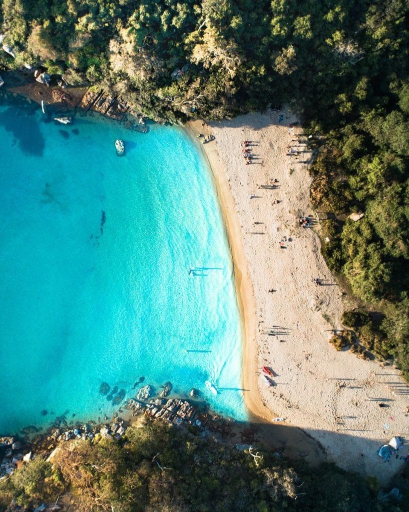 collins-flat-beach-manly-best-beaches-in-sydney