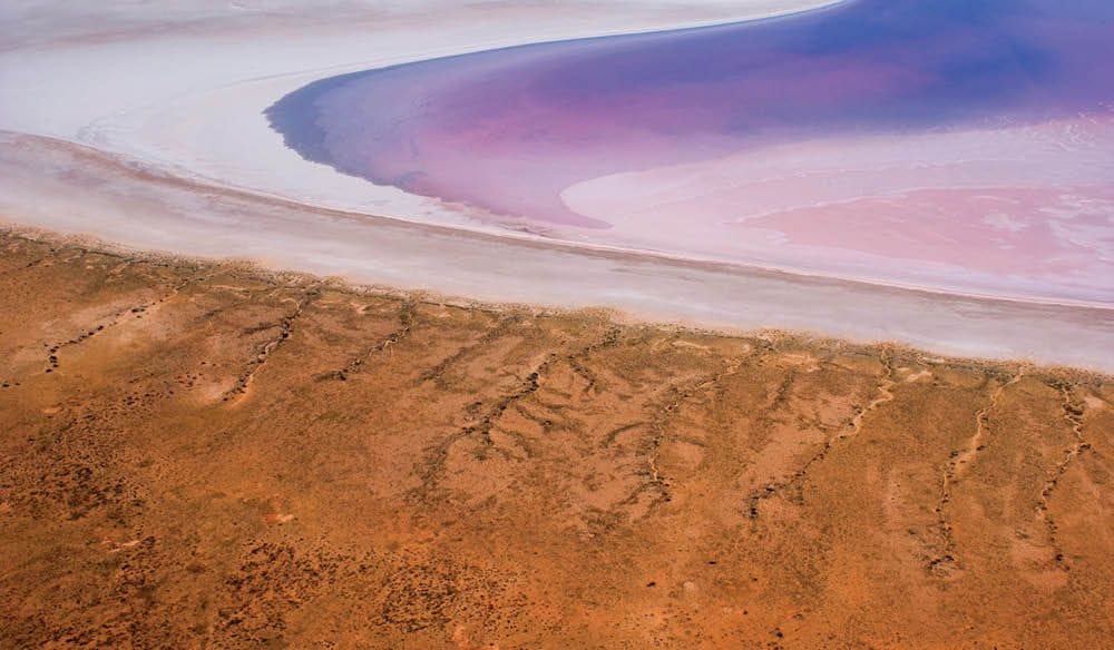 Lake-Albert-South-Australia - Londoner In Sydney Lake-Albert-South-Australia