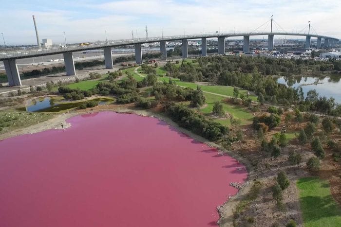 westgate-lake-pink-lake-melbourne - Londoner In Sydney westgate-lake-pink-lake-melbourne