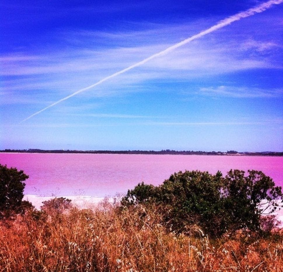 Lake-warden-pink-lake-esperance