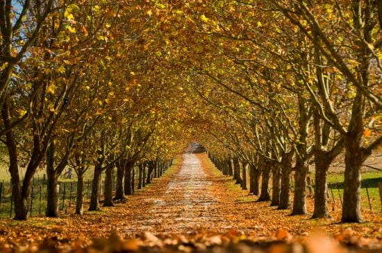 Bowral-kangaroo-valley - Londoner In Sydney Bowral-kangaroo-valley