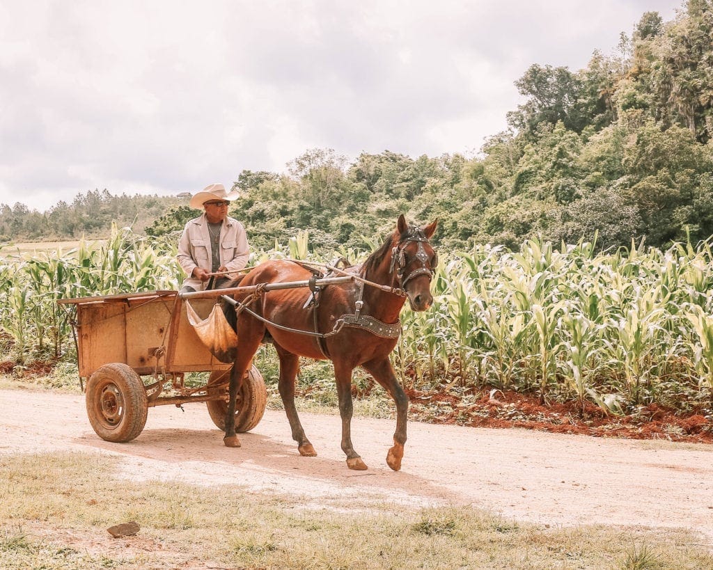 should-i-visit-cuba - Londoner In Sydney should-i-visit-cuba