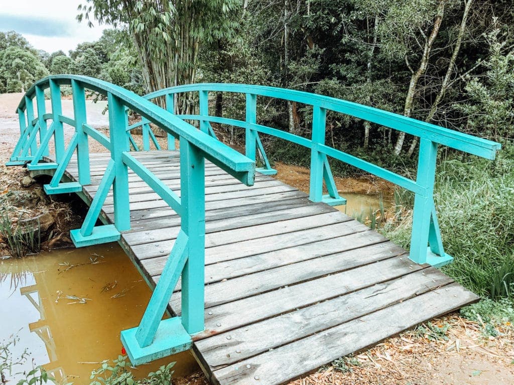 monet-garden-maleny-botanic-gardens-sunshine-coast