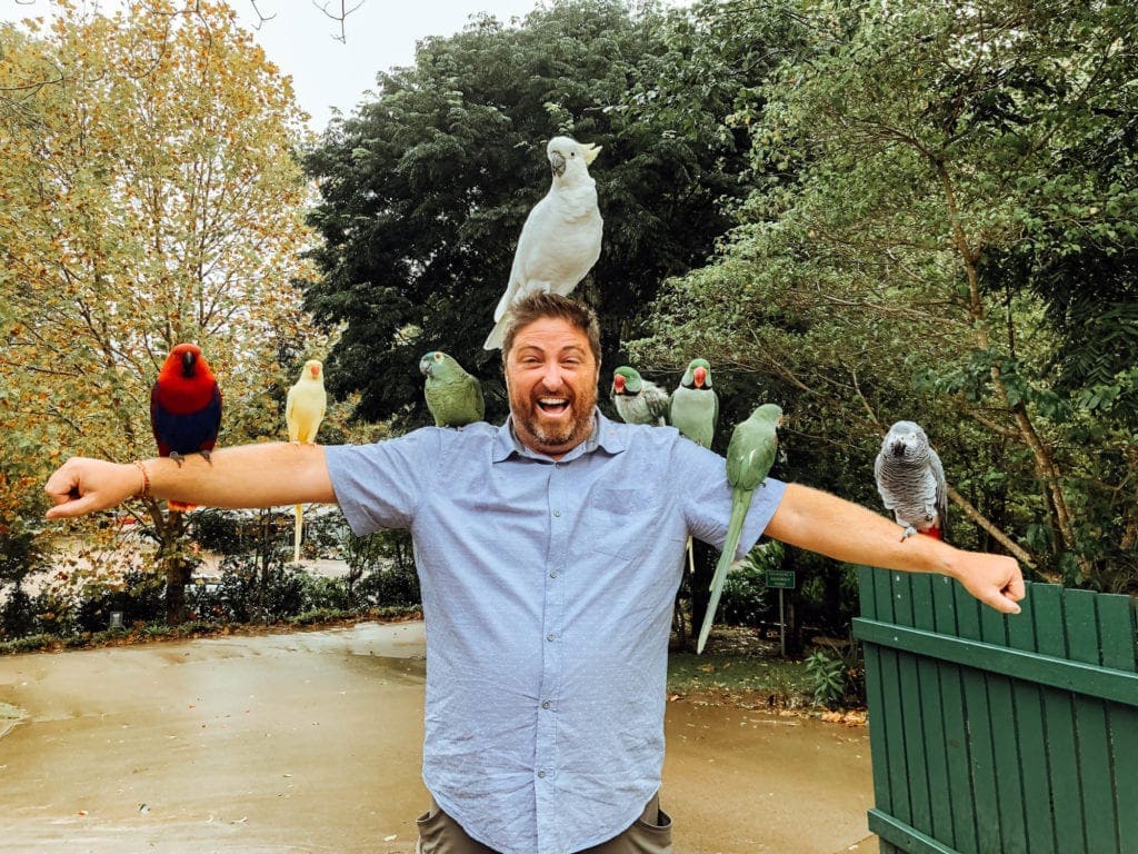 birds-sanding-on-head-maleny-botanic-gardens