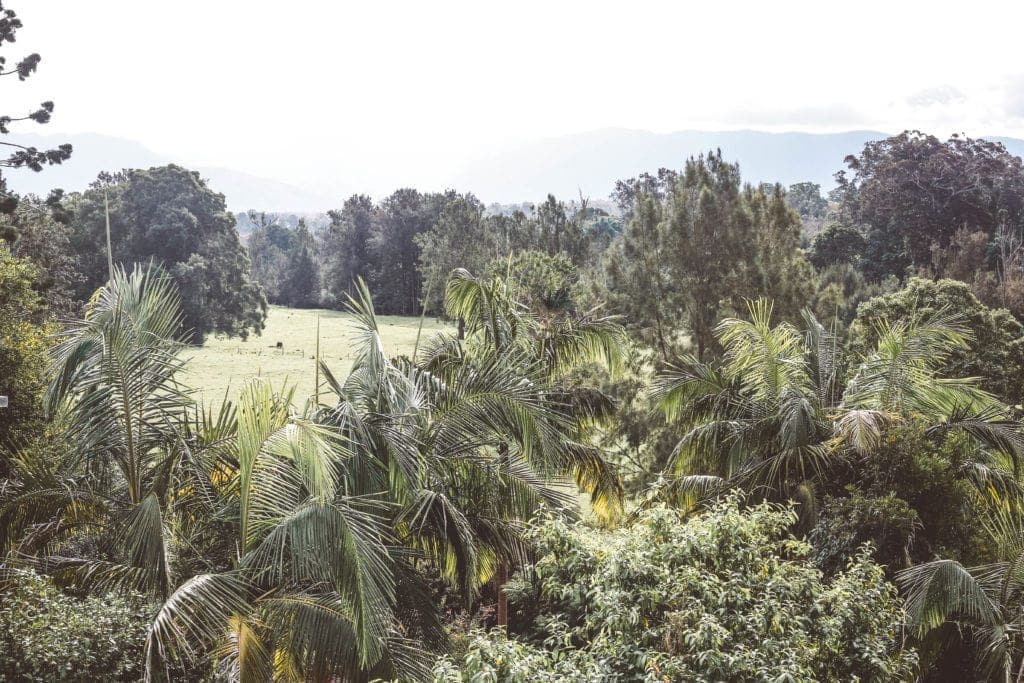 bellingen-accommodation - Londoner In Sydney bellingen-accommodation