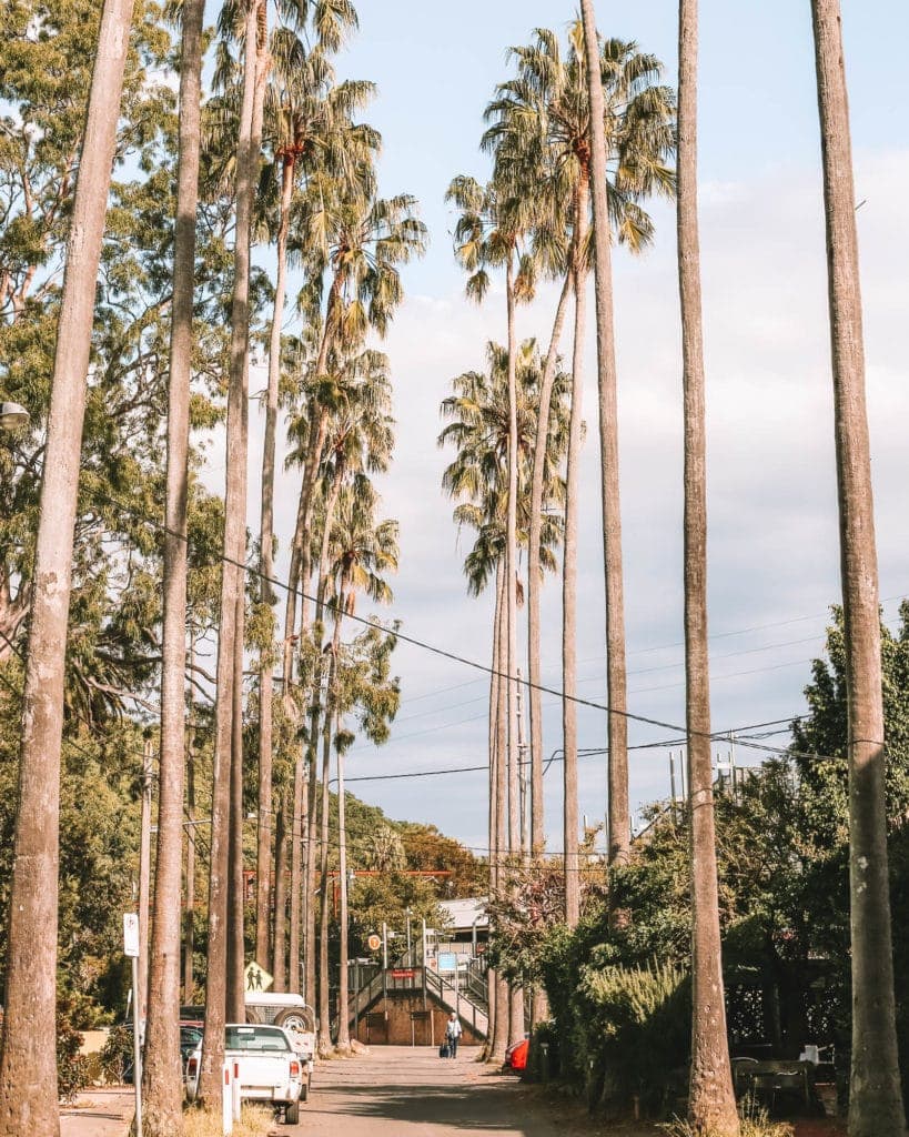 riverboat-postman-hawkesbury