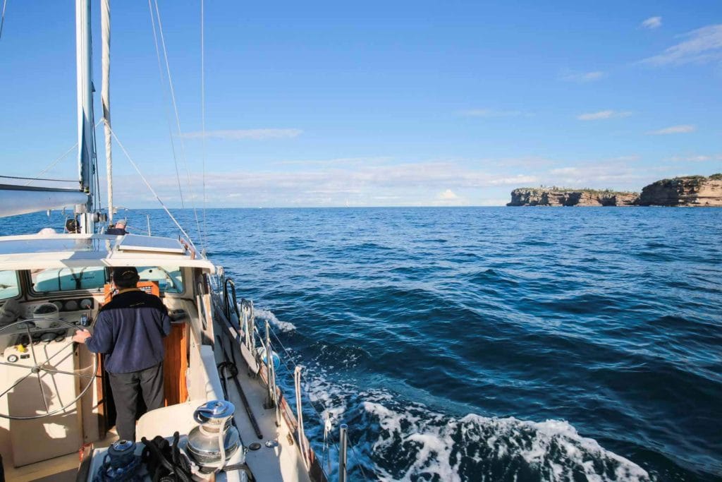 whale-watching-in-Sydney-1